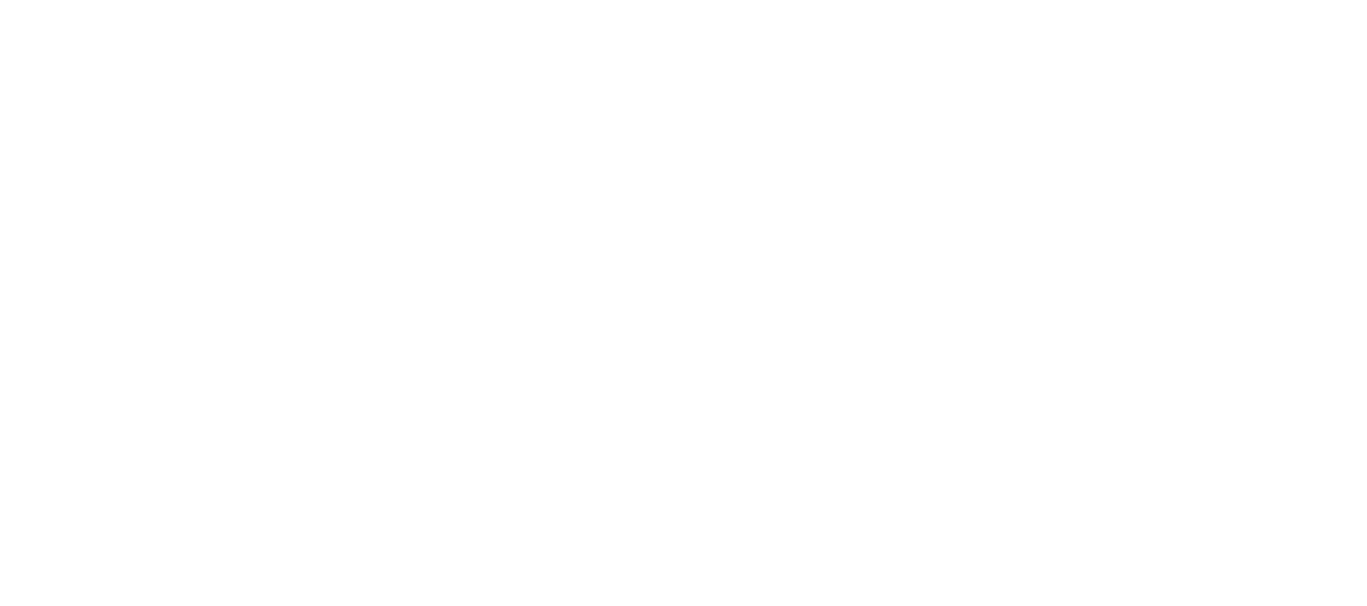 professional logo design merlion fg